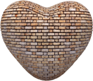 heart wall