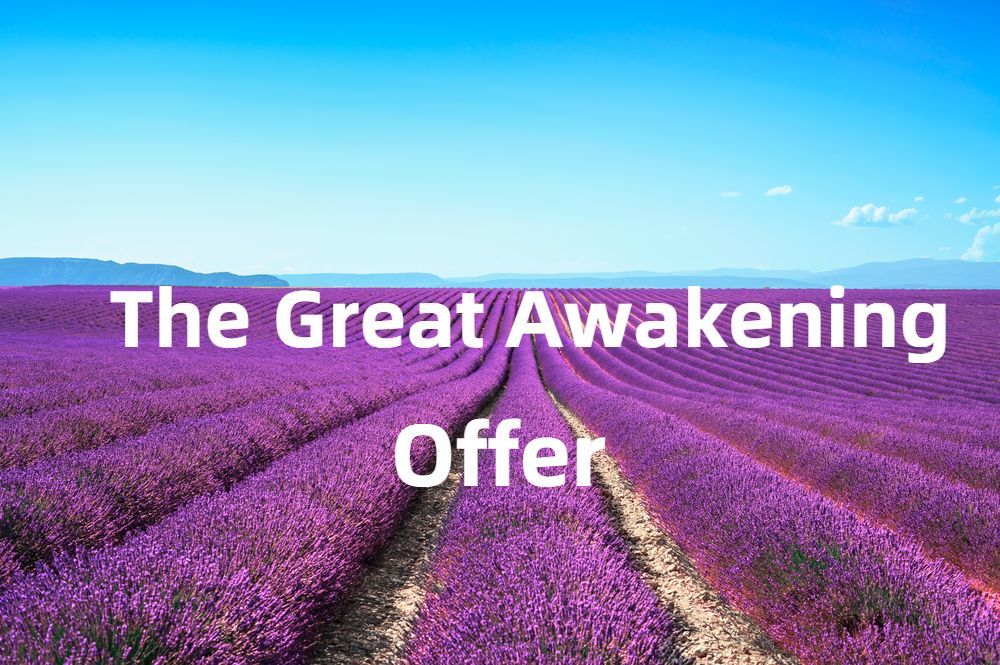 Lavender field offer 2