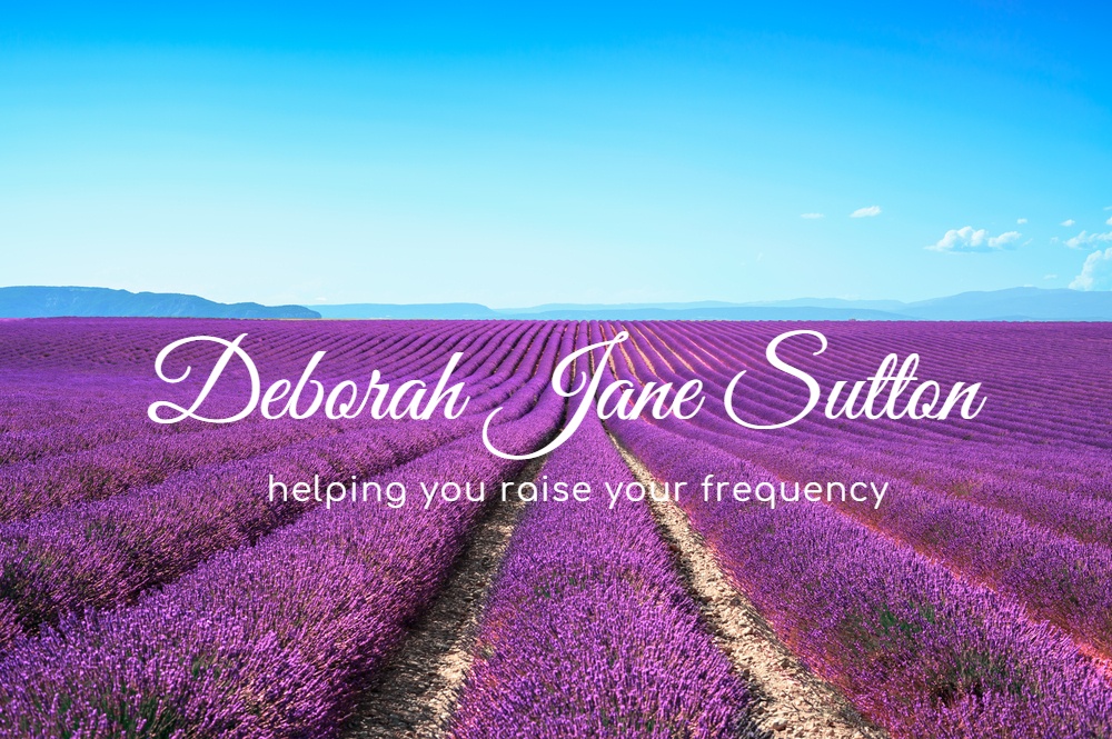 Lavender field - DJS Raise Frequency