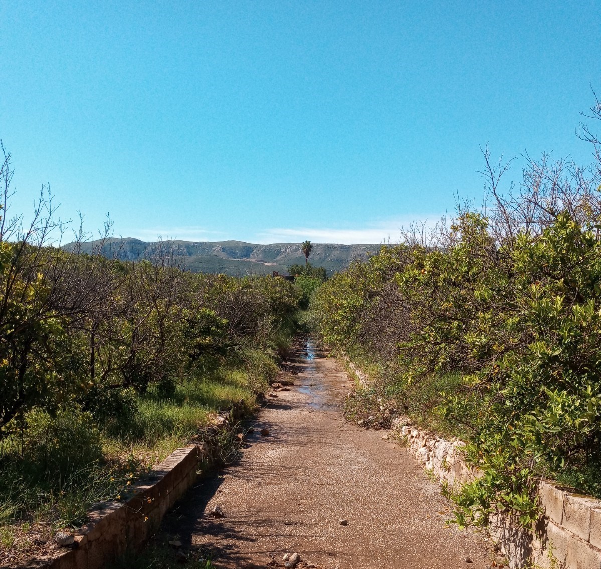 path less travelled 7 1